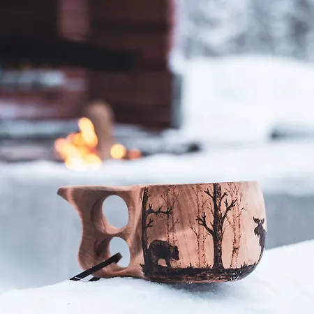 In Lapland -sointuilevi2 A59 * Levi