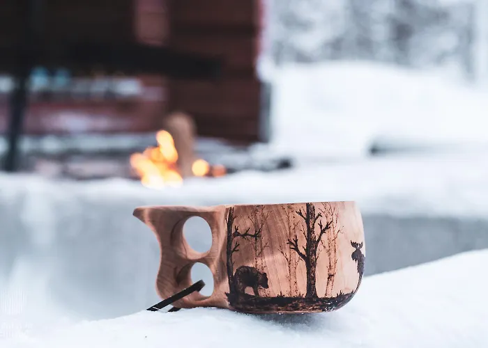 In Lapland -sointuilevi2 A59 * Levi