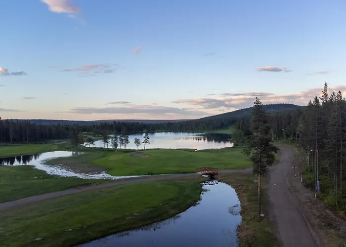 In Lapland -sointuilevi2 A59 Levi